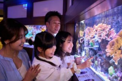 Yokohama Fortune Aquarium