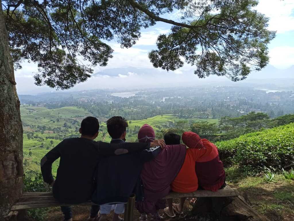 Fun Offroad Pangalengan Bandung – Land Rover Pine Forest Adventure