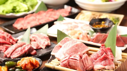 Yakiniku Goyen Nishi-Shinsaibashi Branch - Premium Package with Unlimited A4 Wagyu Beef