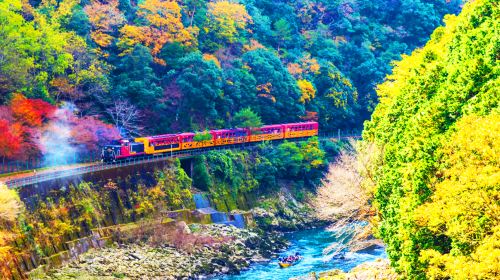 Kyoto Kifune Shrine + Arashiyama + Sanzen-in 9-person premium small group, fall foliage viewing