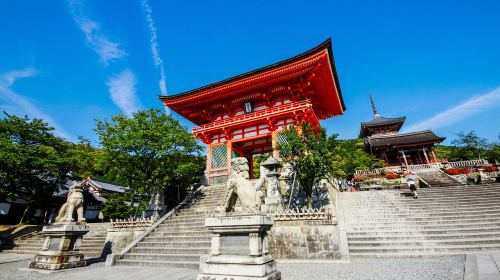 [9-person group] Kyoto + Nara + Uji day trip: Cute deer/Kiyomizu-dera Temple/Fushimi Inari Day Tours