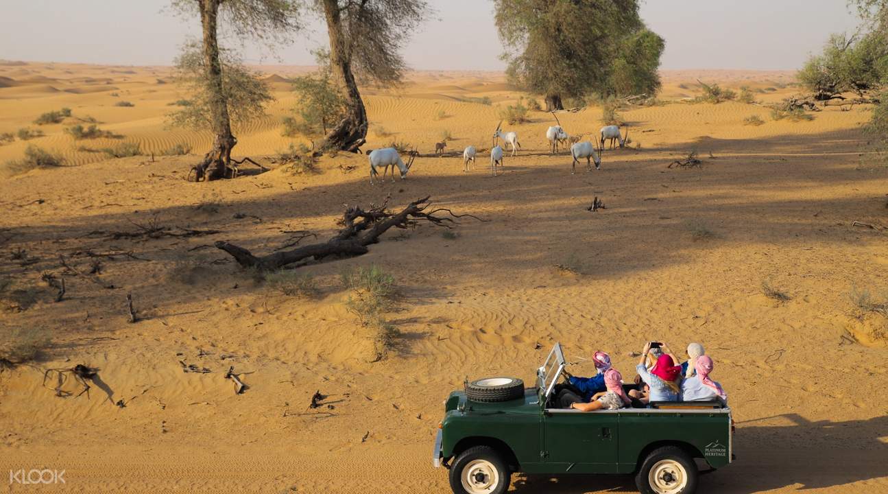 Heritage Desert Safari Experience in Dubai by Platinum Heritage