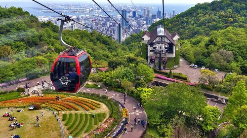 Kobe Half Day Tour - Private & Personalized with a Local Guide Day Tours