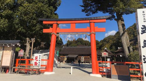 Kyoto Bamboo Forest & Golden Pavilion E-Bike Tour Day Tours
