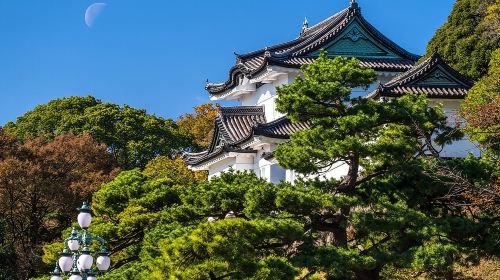 Tokyo Imperial Palace East Gardens Private Guided Tour