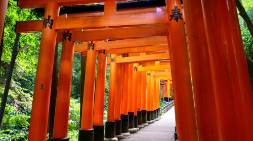 [Guaranteed group] Kyoto Arashiyama + Fushimi Inari Taisha + Nara Park 1-day tour