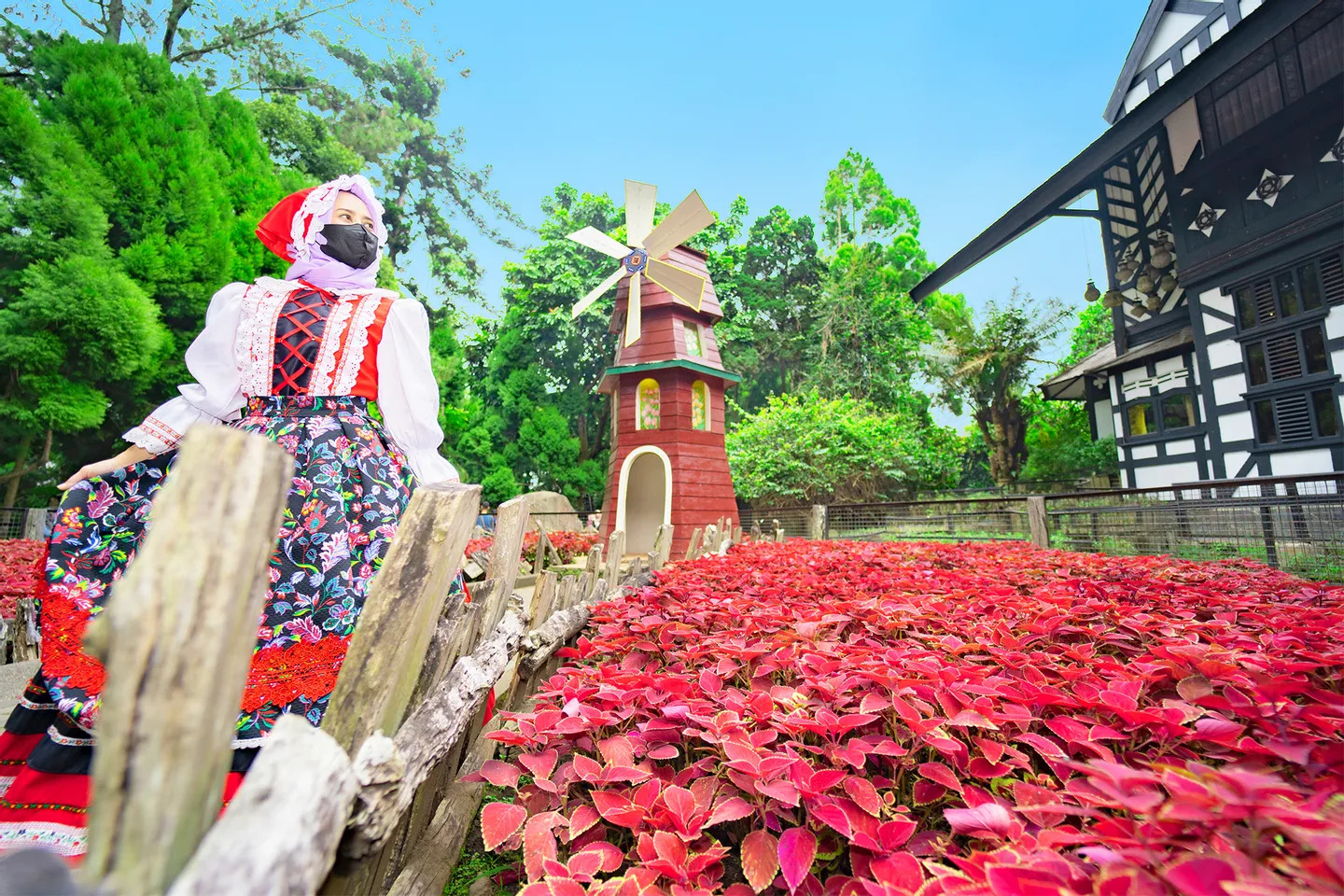 Farmhouse Susu Lembang