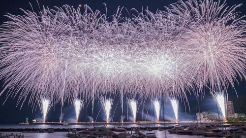 Tokyo Atami Sea Fireworks Tour Day Tours