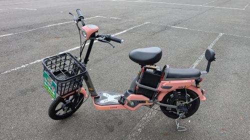 Sun Moon Lake Bike & E-vehicle Rentals with Optional Boat Ticket