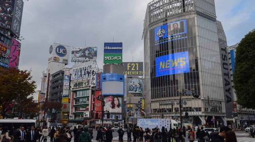 Tokyo full-day tour with private driver and local guide