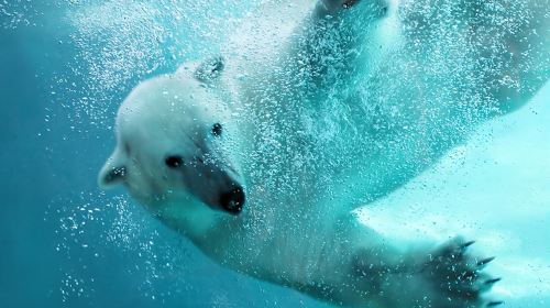 Hokkaido Day Tours