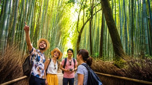 Ultimate Kyoto Arashiyama Tour: Bamboo, Monkeys & Hidden Gardens Day Tours