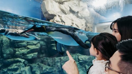 Xpark Overnight Experience | Blu Night Adventure