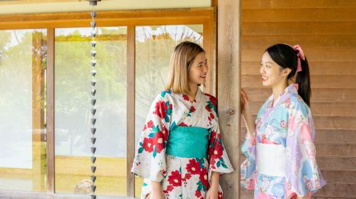 Dancewoods Japanese Garden Theme Park