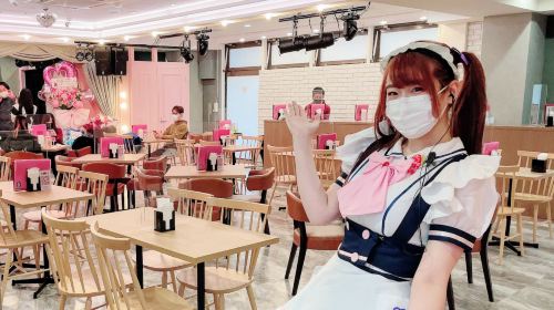Have fun in Akihabara! Anime, video games and maid cafe one-day tour