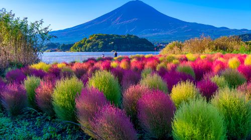 Japan Tokyo Mt. Fuji Lake Kawaguchi & Yamanakako & Lawson/Hikkawa one-day tour|Internet celebrity panoramic check-in Day Tours