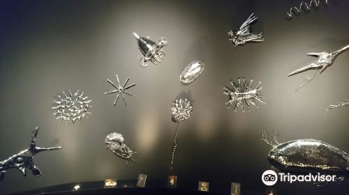 Lake Biwa Museum