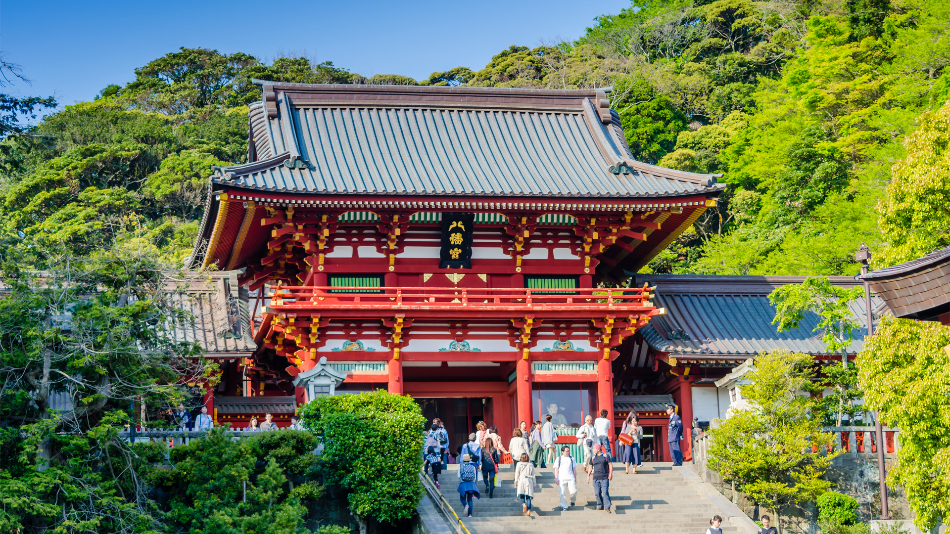 Kamakura Railway Yokohama Night View Day Tour