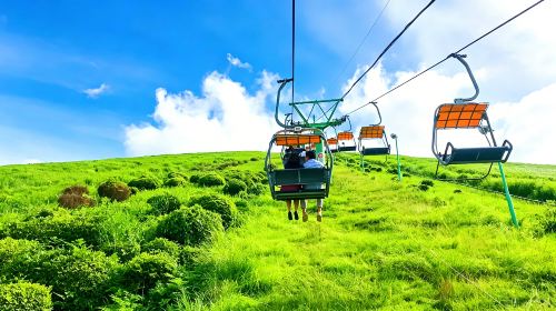 Japan Tokyo Izu 1-day tour – Mt. Omuro, zoo, scenic train experience