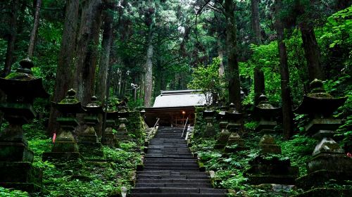 A day trip to Kumamoto's Kamishomi Kumanoza Shrine, Miyazaki's Takachiho Gorge, and Ten'an Kawara