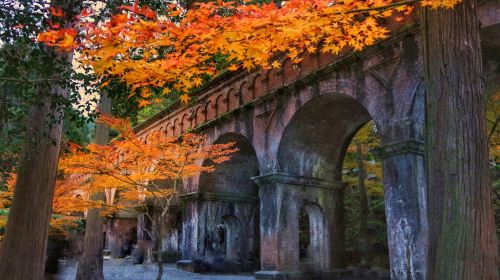 Kyoto autumn foliage 1-day tour: Nanzen-ji Temple + Nishiki Market + Gion + Nijō Castle night illumination show Day Tours