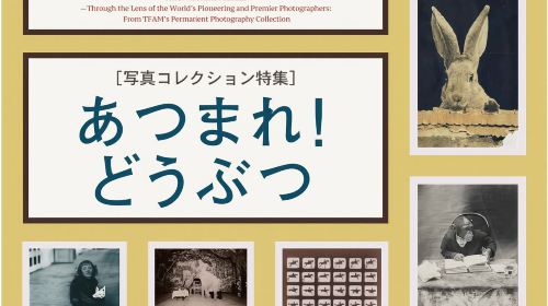 Tokyo Fuji Art Museum Admission Ticket + Special Exhibition (when being held)