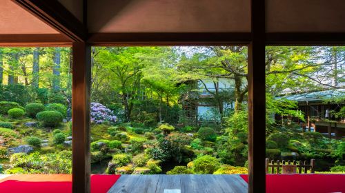 1-day classic small group tour from Osaka – Sanzen-in, Kifune Shrine