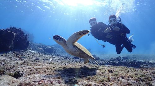 Okinawa Chako Travel