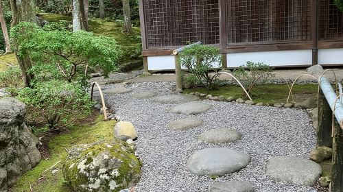 Nara: Essential Private Tour with Deer Park and Temples Day Tours