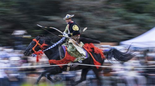 Samurai Culture Experience in Tokyo (Includes Swordsmanship and Archery)