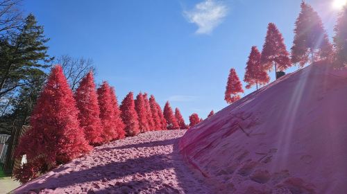 Hantangang UNESCO Geopark & Pocheon Highlights Tour from Seoul