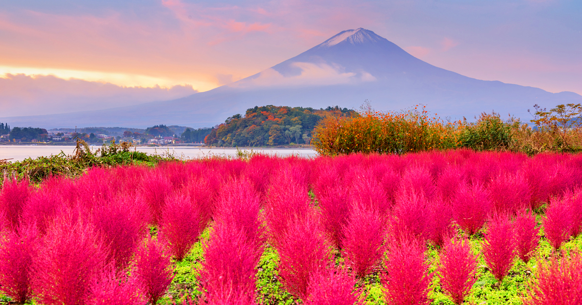 A day trip to seven popular Instagram spots around Mount Fuji