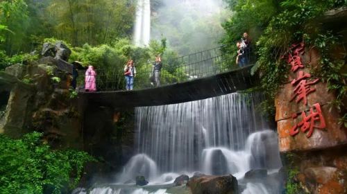 Zhangjiajie National Forest Park 1 - Day Tour with VIP Fast - Track Entrance and Eco - Bus Access