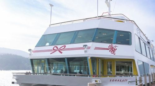 Fuji-Hakone: Day Tour from Tokyo + Return by Shinkansen + Optional Lunch