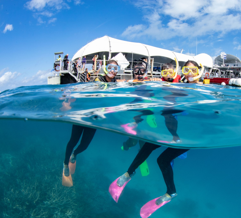 Cairns: Green Island + Moore Reef Activity Platform Combo