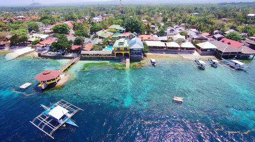 Philippines Moalboal Sardine Run Diving