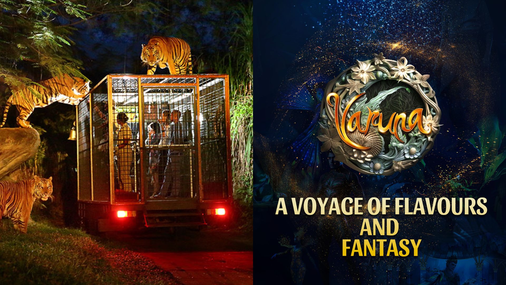 Night Safari + Varuna with Dinner