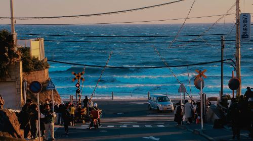 Kamakura: A Journey Through Medieval Japan Day Tours
