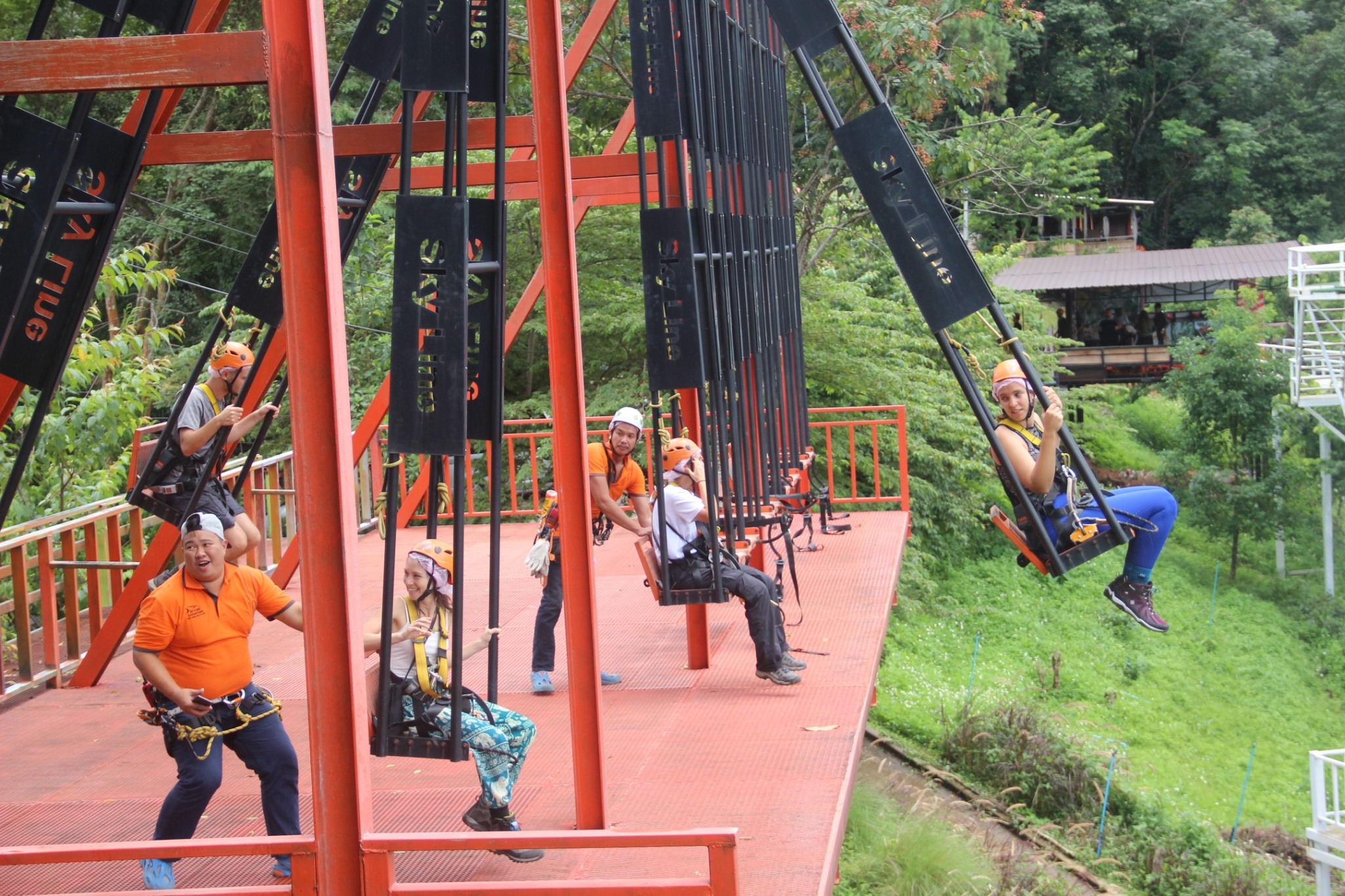 Skyline Jungle Luge