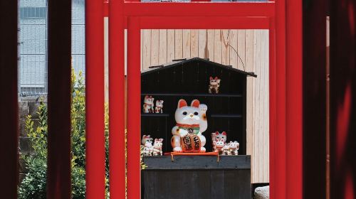 1-day tour to Dazaifu Tenmangu Shrine, Beppu and Lake Kinrin in Yufuin, Oita, Japan