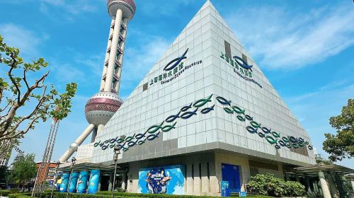 Shanghai Ocean Aquarium