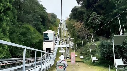 Explore the Hidden Gems of Kyoto's Mountains and Sea | 1-Day Tour to Amanohashidate, One of Japan's Three Scenic Views, and Ine Boat House Cruise Day Tours