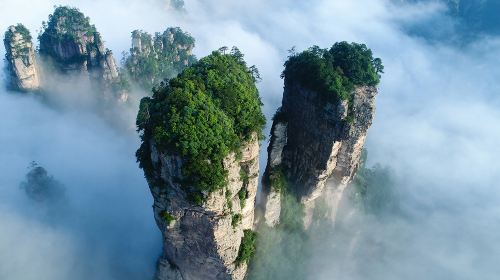 Zhangjiajie National Forest Park 1 - Day Tour with VIP Fast - Track Entrance and Eco - Bus Access