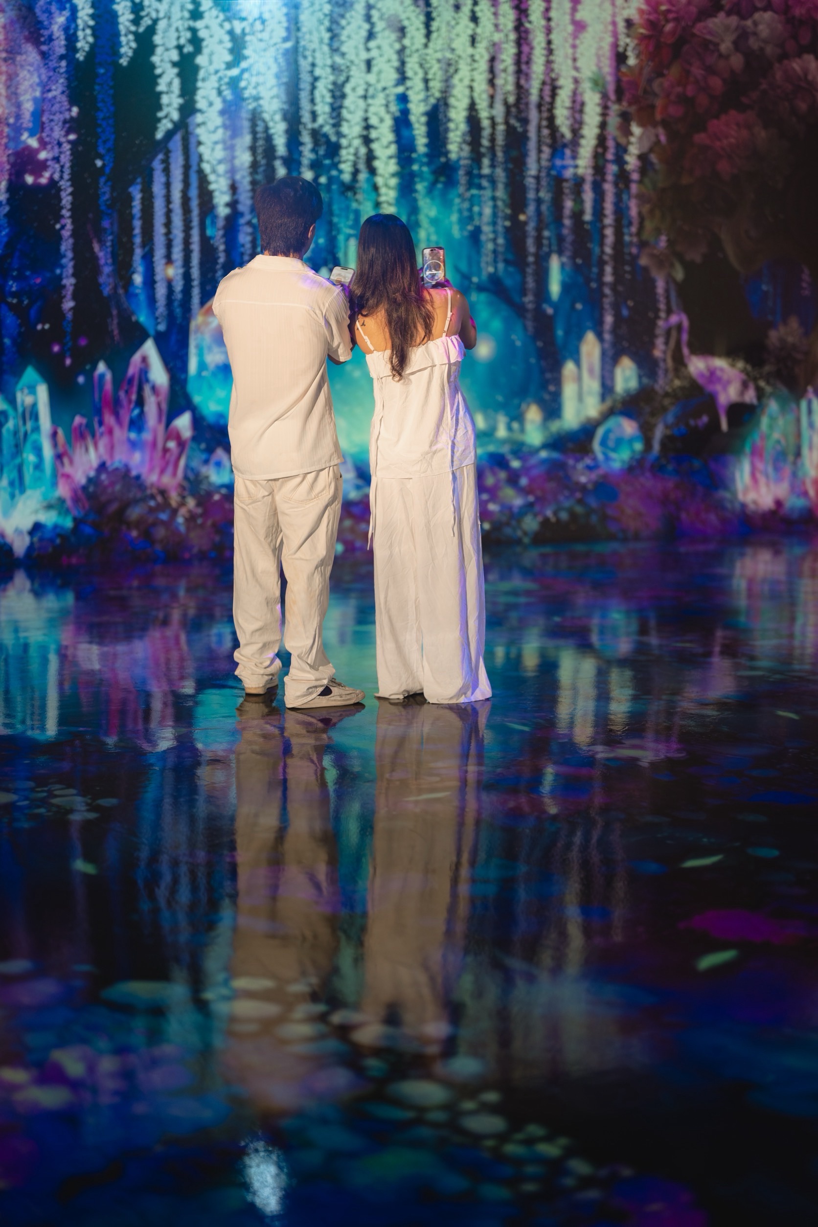 [Combo] Aquaria Phuket +  MAYA Media Art Museum Phuket Non Thai Resident