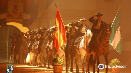 Royal Andalusian School of Equestrian Art