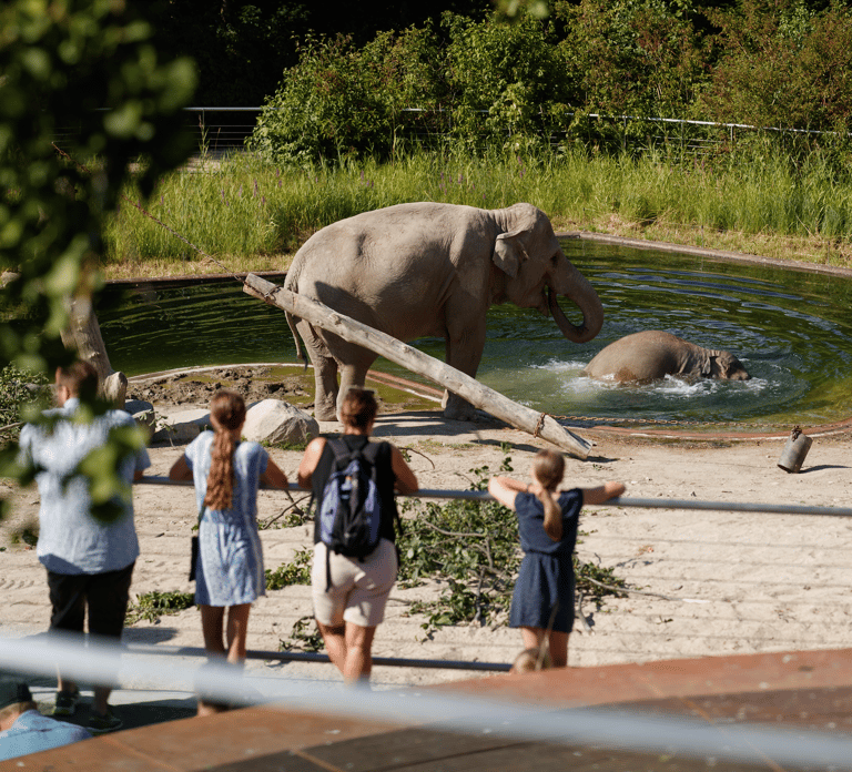 Copenhagen: Copenhagen Zoo Entry Ticket