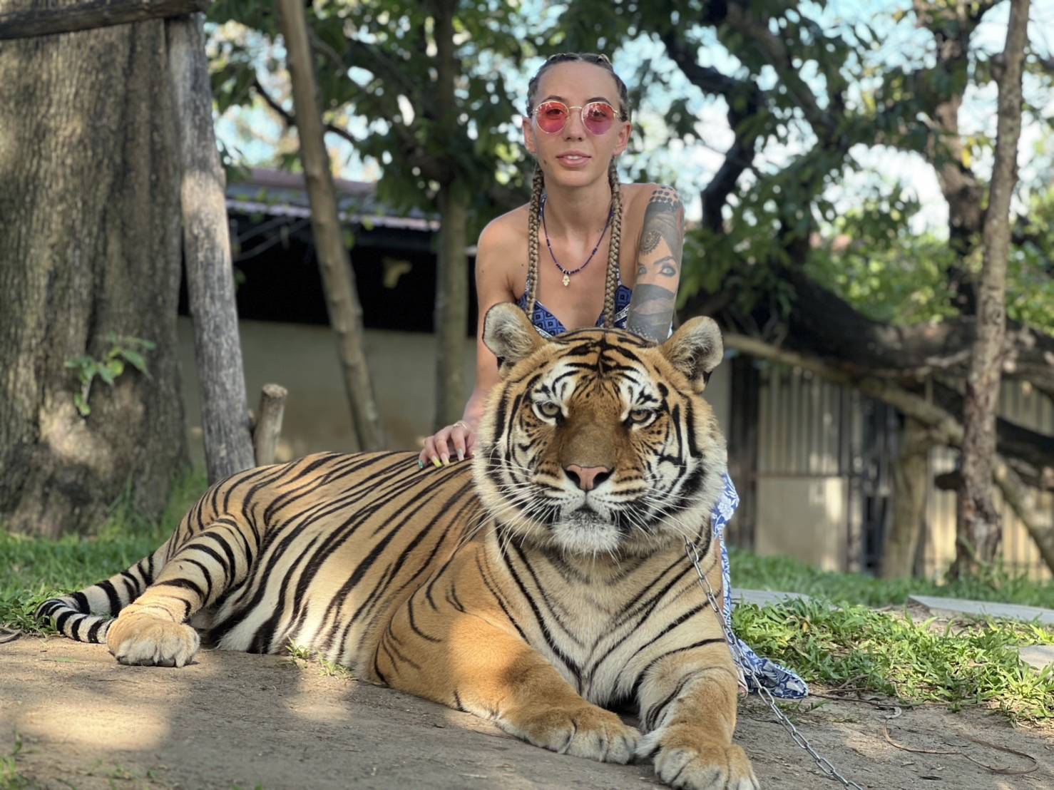 Chang Puak Camp Damnoen Saduak (Tiger & Liger Photo Experience)