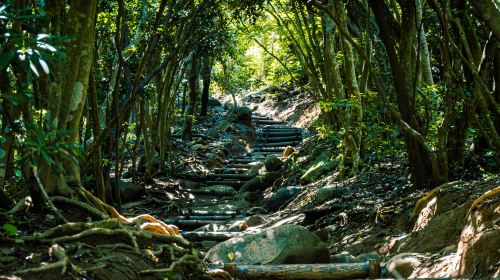 Itoshima Totoro's Forest + Couple Stone + 3 Spots Tour from Fukuoka