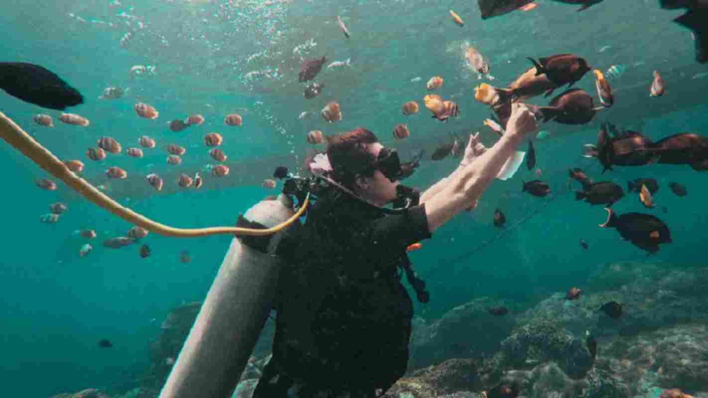 Tour Packages Promotion Caspla Bali Group