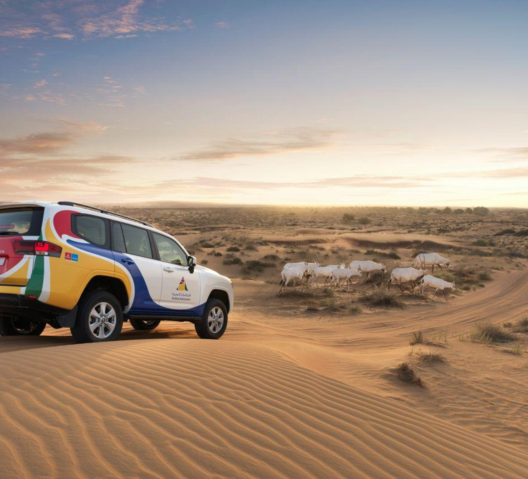Dubai Overnight Desert Safari & fine dining at Nomad Garden
